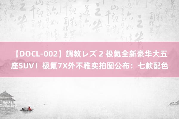 【DOCL-002】調教レズ 2 极氪全新豪华大五座SUV！极氪7X外不雅实拍图公布：七款配色