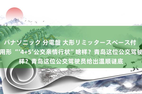 パナソニック 分電盤 大形リミッタースペース付 露出・半埋込両用形 “‘4+5’公交亲情行状”啥样？青岛这位公交驾驶员给出温顺谜底