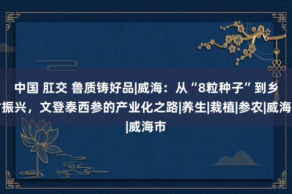 中国 肛交 鲁质铸好品|威海：从“8粒种子”到乡村振兴，文登泰西参的产业化之路|养生|栽植|参农|威海市