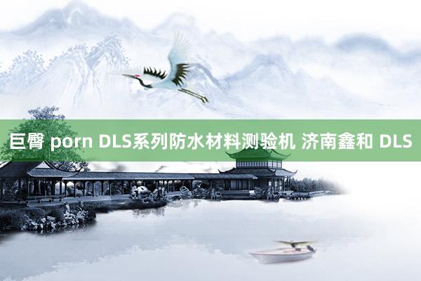 巨臀 porn DLS系列防水材料测验机 济南鑫和 DLS