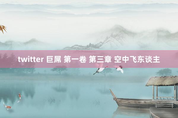 twitter 巨屌 第一卷 第三章 空中飞东谈主