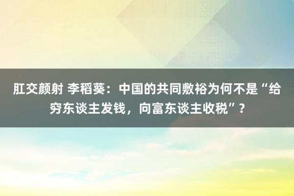 肛交颜射 李稻葵：中国的共同敷裕为何不是“给穷东谈主发钱，向富东谈主收税”？