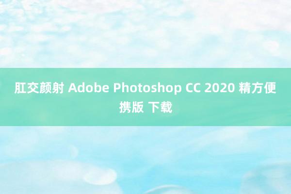 肛交颜射 Adobe Photoshop CC 2020 精方便携版 下载