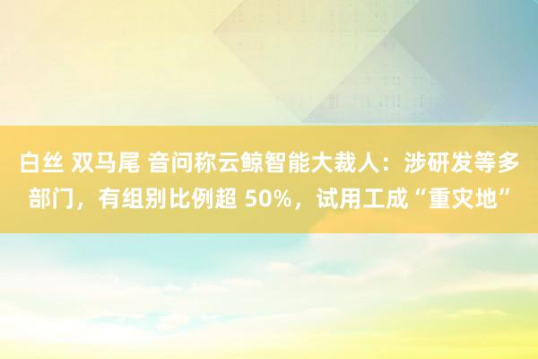 白丝 双马尾 音问称云鲸智能大裁人：涉研发等多部门，有组别比例超 50%，试用工成“重灾地”