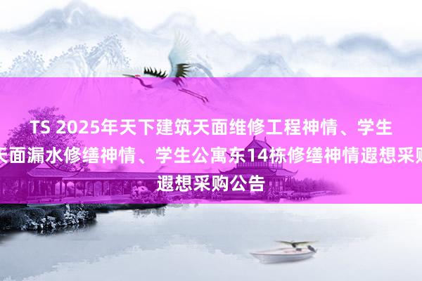 TS 2025年天下建筑天面维修工程神情、学生公寓天面漏水修缮神情、学生公寓东14栋修缮神情遐想采购公告