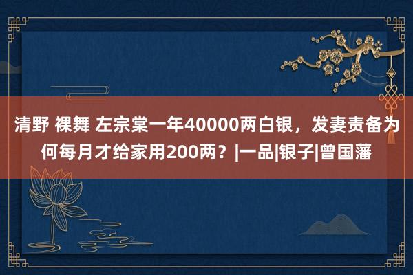 清野 裸舞 左宗棠一年40000两白银，发妻责备为何每月才给家用200两？|一品|银子|曾国藩